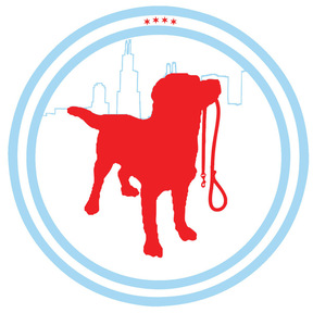 Pawsitive Paws - Dog Walking and Dog Sitting - Chicago, IL