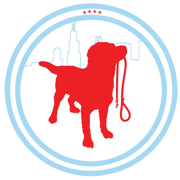 Pawsitive Paws - Dog Walking, Dog Sitting, Dog Care and more - Chicago, IL
