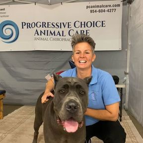 Progressive Choice Animal Care - Mobile Pet Chiropractic  - Pembroke Pines, FL
