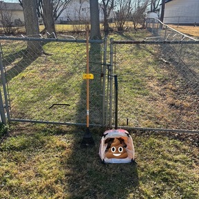 Tidy Tails | Dog Waste Removal Service - Florissant, MO