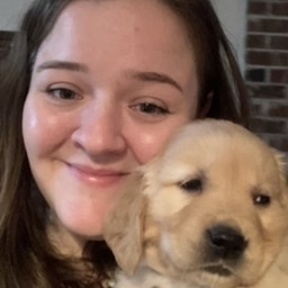 Notre Dog Academy - In Home Dog Training Service - Tacoma, WA