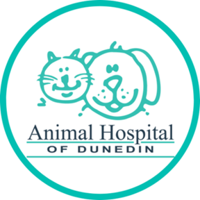 Animal Hospital of Dunedin - Animal Acupuncture - Dunedin, FL