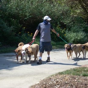Walkin-n-Waggin Dog Walking and Pet Sitting - Winston-Salem, NC