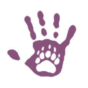 Two Bear Healing Arts | Animal Communication and Reiki - Valley Cottage, NY