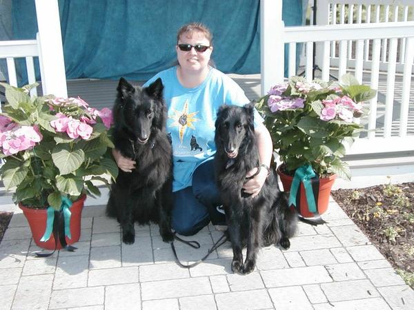 Luxemburg Pet Boarding Kennel and Pet Daycare - Lykens, PA