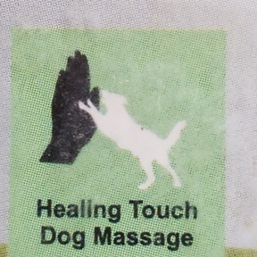 Healing Touch Dog Massage 