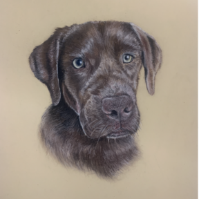 Custom Pet Portrait and Wildlife Artist - Londonderry, VT