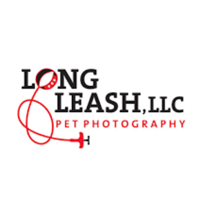 Long Leash LLC - Pet Photographer - Wilbraham, MA