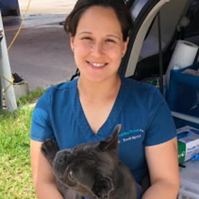 Mobile Animal Doctor Housecalls - Mobile Vet Care - Miami, FL