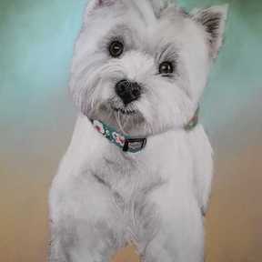 Katrina Pet Pawtraits - South Carolina Pet Portrait Artist  - Summerville, SC