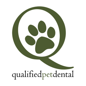 Dog Teeth Cleaning. Cats, too! - Pet Dental Care - Costa Mesa, CA