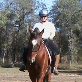 Flying J Pet Sitting and Horse Sitting - Homosassa Springs, FL