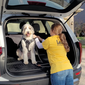 Leash Pet Transportation  - Omaha, NE