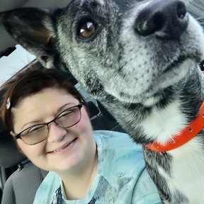Appalachian Pet Pros - In Home Pet Sitting  - Madison, WV