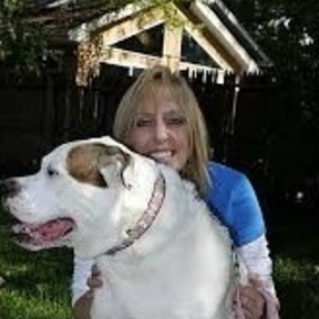 Melt Canine Massage Therapy - Hoffman Estates, IL