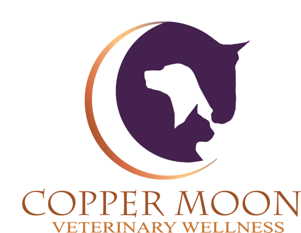 Copper Moon Veterinary Wellness - Animal Acupuncture - Little Silver, NJ