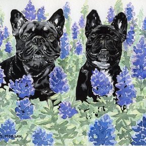 Pet Portrait Art - Ink and Water - Versailles, KY