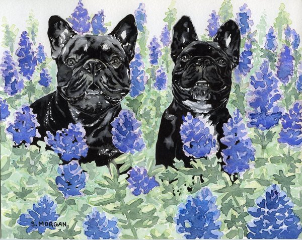 Pet portrait   jaxon   sophie kai  8x10   french bulldogs   color full background 