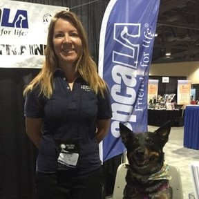 Bucks County SPCA - Puppy and Dog Training - Quakertown, PA