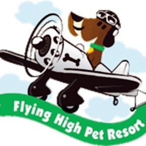 Flying High Pet Resort - Pet Boarding - Camarillo, CA