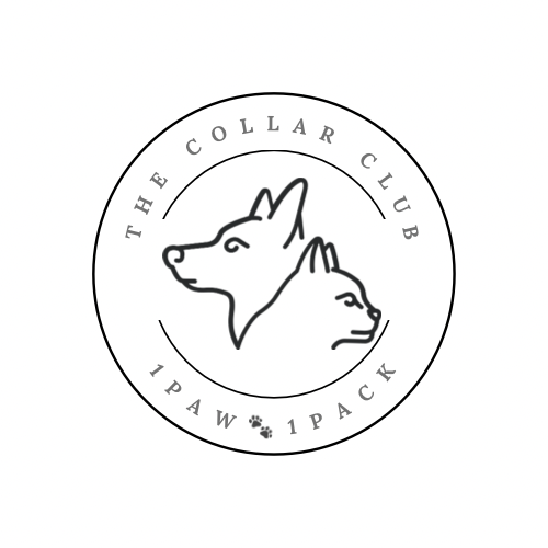 The Collar Club - Pet Boarding, Pet Sitting, & More Pet Care - Philadelphia, PA