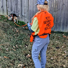 The Feline Finders - Lost Cat Recovery Specialist  - Little Rock, AR