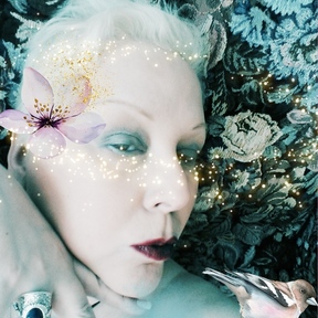 Eve from Eden - Certified Animal Distance Reiki Healer - West Caldwell, NJ