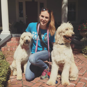 K9 Holistics, Dog Training - St Petersburg, FL