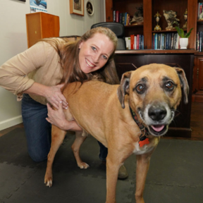 Animal Chiropractic Care at McLaughlin Center for Wellness - Knoxville, TN