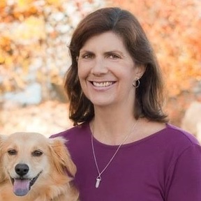 Positive Partnership Private Dog Training - Evanston, IL