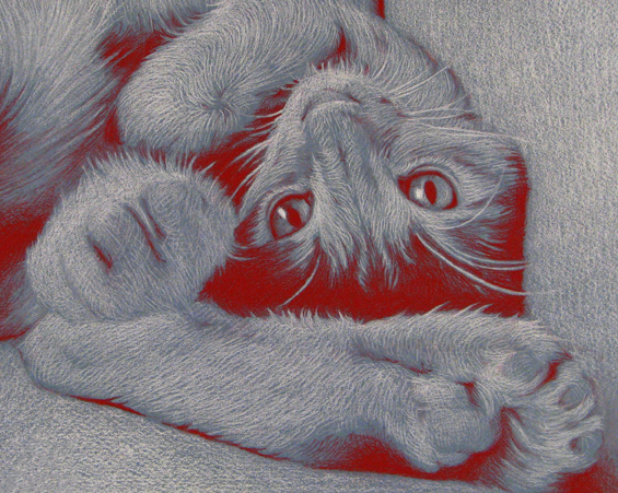 Rita foster pet portrait artist