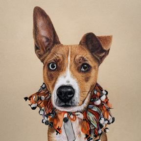 Colored Pencil Pet Portraits - Stuart, FL