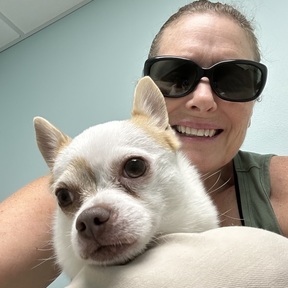 Luxury Pet Moves In Our Pet Limo - Pet Transport - Central Florida, FL