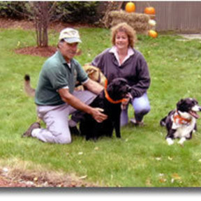 Lucky Dog Daycare - Warren, VT