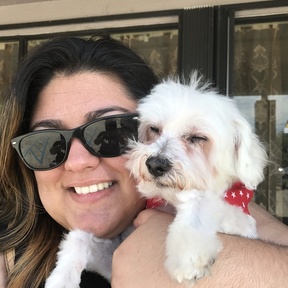 Precious Paws Pet Transportation Services - 