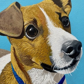 Pet Paintings by Sarah - Pet Portrait Artist  - St. Petersburg, FL