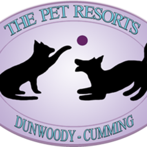Luxury Pet Daycare and Dog Boarding - Dunwoody, GA