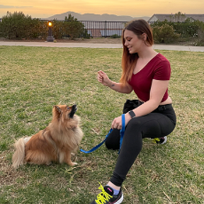 PupHub Dog Training - Puppy and Dog Certified Trainers - Santa Ana, CA