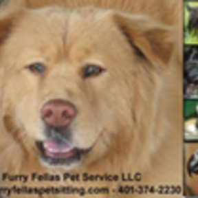 Furry Fellas Pet Service  - Pawtucket, RI