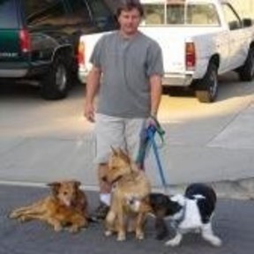DogzGoneWalk'n - Pet Sitting and Dog Walking Services - Camarillo, CA