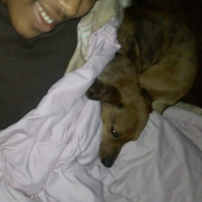 Brittany Paige - Reliable Pet Transportation  - Atlanta, GA