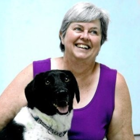 Professional Positive Dog Training - Greeneville, TN