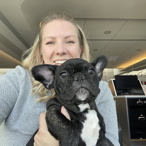 PurplePup Pet Transportation  - Grapevine, TX