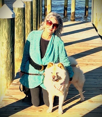 Robyn color po standalone