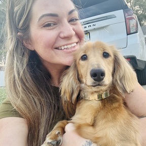 Steadfast Dog Training  - Lithia, FL