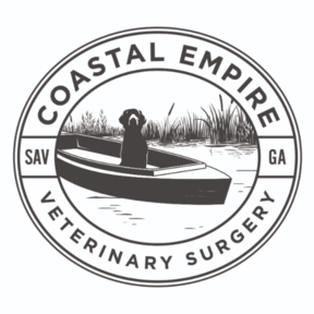 Coastal Empire Vet Care and Veterinary Surgery - Savannah, GA