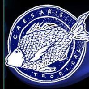Caesars Tropical Fish Inc - Aquarium Services - Santa Rosa, CA