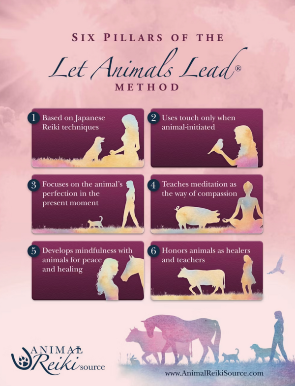 045e3d 5efc31a050a74862a9d4f0f9b7ab46cc mv2