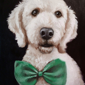 Pet Portraits by Rachel - Nottingham, MD