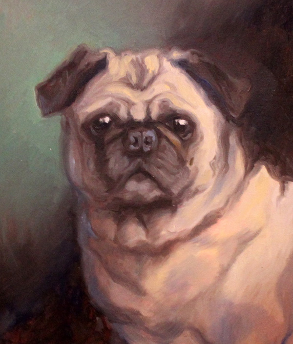 Pet Portraits by Rachel - Nationwide
